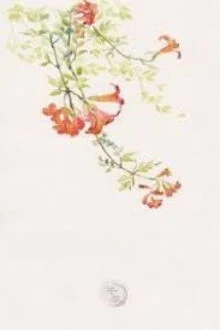 Li&ecirc;n Li&ecirc;n